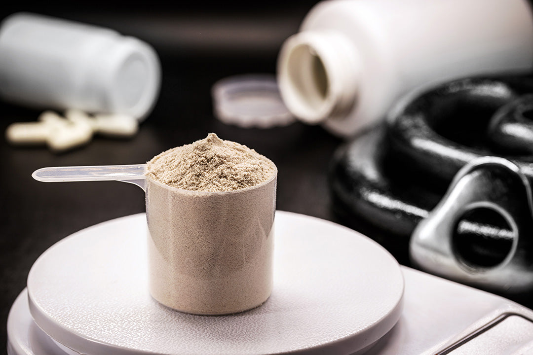 High-quality powder supplement manufacturing at Biowell Labs—scooping nutraceutical protein powder from a black container, highlighting contract supplement manufacturing and private label supplement production.